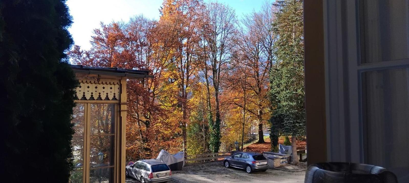Apartment Studio-appartement Koenigs-traum