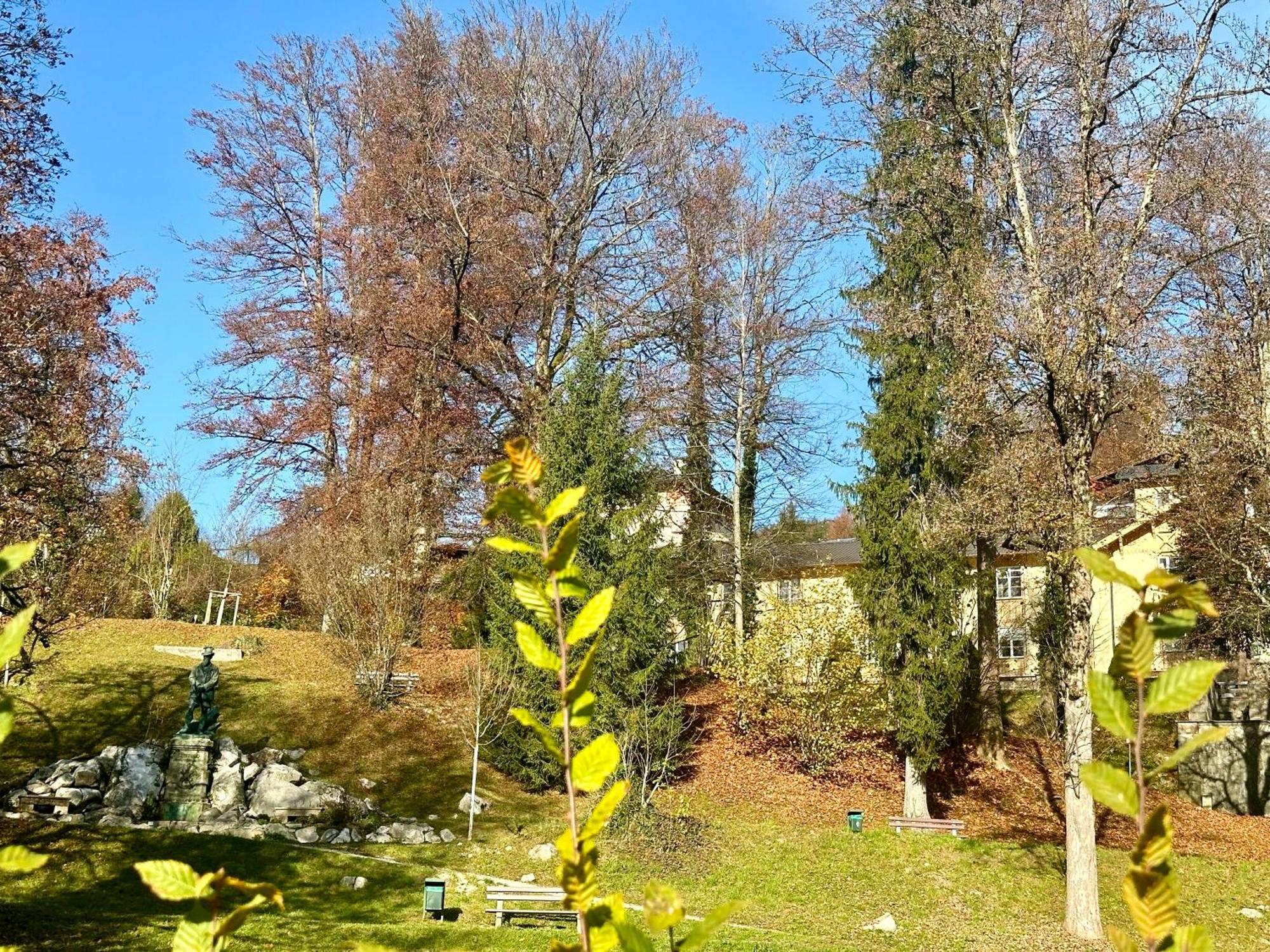 Studio-appartement Koenigs-traum Apartment *